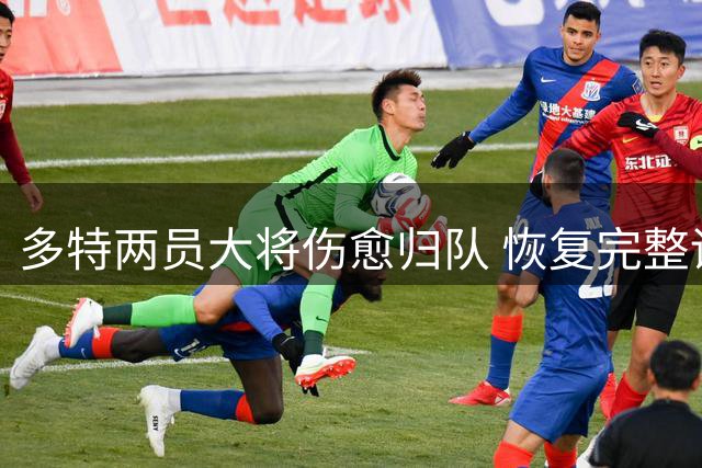 多特两员大将伤愈归队 恢复完整训练