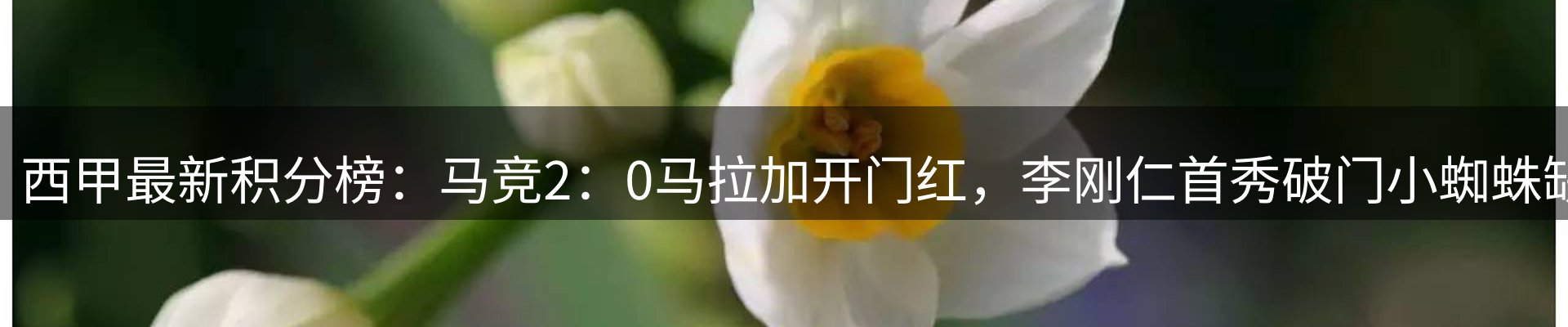 资讯中心